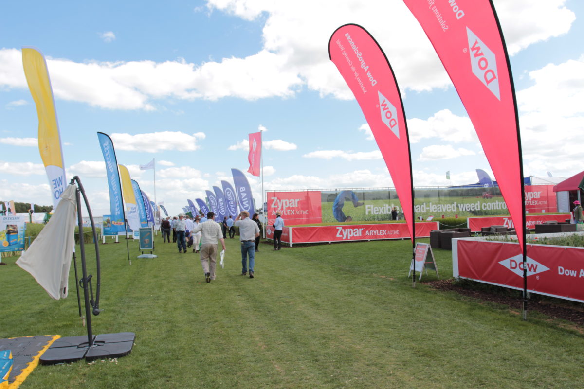 Flag Printing Service Aid in Promoting Brand Awareness