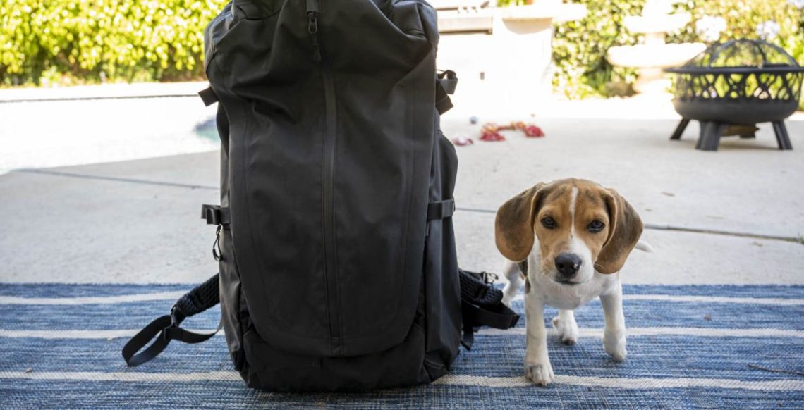 The Versatility of Promotional Backpacks in Your Campaigns